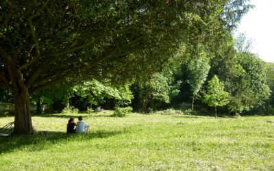 Vraiment nécessaire cette retraite en couple ?